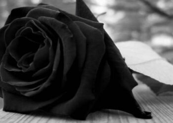 θάνατος νεκρός nekros-thanatos