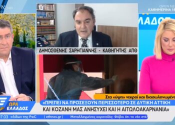 σαρηγιάννηςOPEN