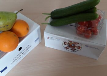 Δημοτικά: Ευρωπαϊκό Πρόγραμμα – Διανομή φρούτων, λαχανικών και γάλακτος σε μαθητές