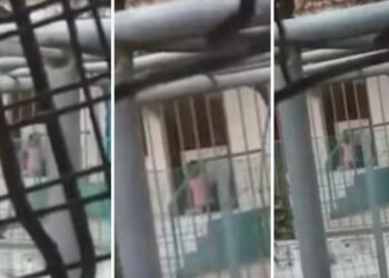 4chrono-νηπιαγωγειοΧαλκίδας