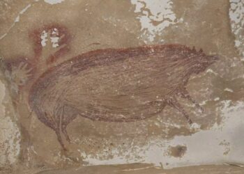 Βρέθηκε σπηλαιογραφία, ηλικίας 45.500 ετών! Η αρχαιότερη που έχει ανακαλυφθεί (pic)