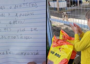 Σύρος: 7χρονος έδωσε το χαρτζιλίκι των γιορτών για να ταϊσει αδέσποτα (pic)