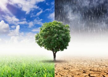 ΠΕΕΚΠΕ: Αίτημα άμεσης συνάντησης με τη νέα Υφυπουργό Παιδείας για θέματα Περιβαλλοντικής Εκπαίδευσης