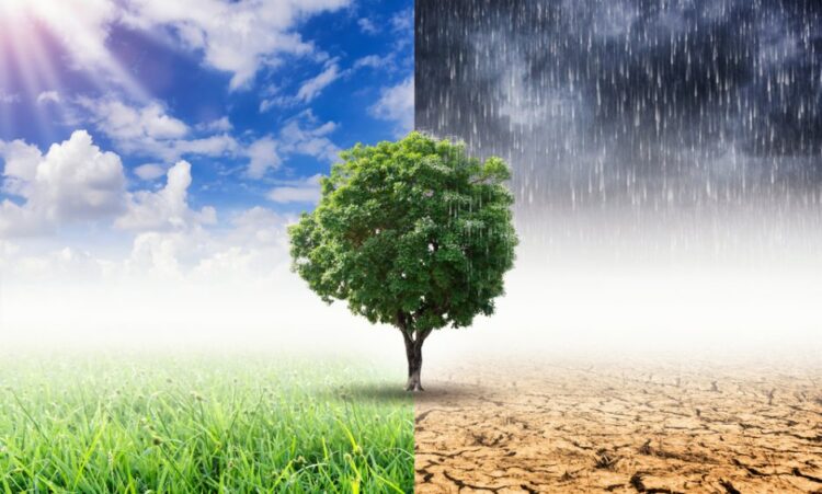 ΠΕΕΚΠΕ: Αίτημα άμεσης συνάντησης με τη νέα Υφυπουργό Παιδείας για θέματα Περιβαλλοντικής Εκπαίδευσης