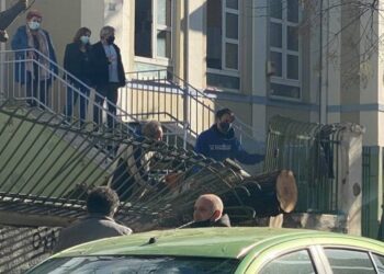Θεσσαλονίκη: Πτώση δέντρου σε αυλή δημοτικού! Δεν τραυματίστηκαν μαθητές
