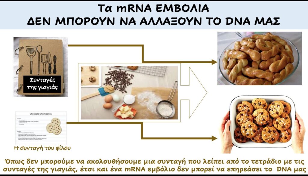 Μόσιαλος mRNA κουλουράκια