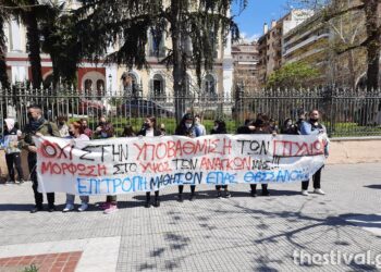 Σπουδαστές ΕΠΑΣ και ΟΑΕΔ διαδήλωσαν στο κέντρο της Θεσσαλονίκης – “Όχι στην υποβάθμιση των πτυχίων μας” (pics)