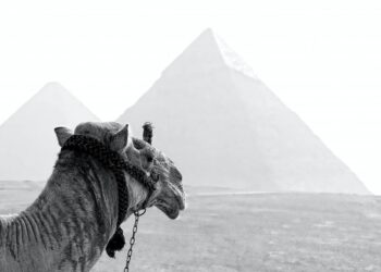 Βρέθηκε η χαμένη χρυσή πόλη της Αιγύπτου σηματοδοτώντας τη δεύτερη πιο σημαντική ανακάλυψη στον κόσμο