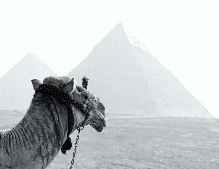 Βρέθηκε η χαμένη χρυσή πόλη της Αιγύπτου σηματοδοτώντας τη δεύτερη πιο σημαντική ανακάλυψη στον κόσμο