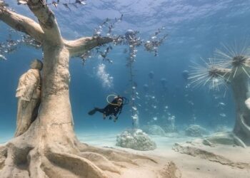 Υποβρύχιο Μουσείο της Αγίας Νάπας