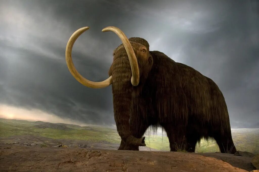 μαμούθ mammoth mamouth