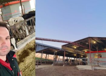 Λάρισα: Η πρώτη «ρομποτική φάρμα» – Ρομπότ, 3D κάμερες, λέιζερ και …αγελάδες