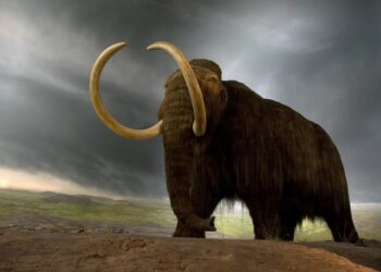 μαμούθ mammoth mamouth