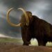 μαμούθ mammoth mamouth