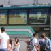 Σχολικές Εκδρομές και Μετακινήσεις: Τι ισχύει φέτος
