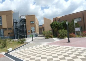 Έλια Ψυλλάκη: Η Ελληνίδα καθηγήτρια ανάμεσα στους 100 κορυφαίους επιστήμονες παγκοσμίως