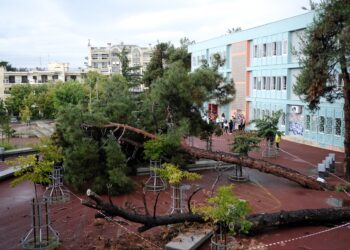 Θεσσαλονίκη: Πτώση δέντρου σε προαύλιο σχολείου (φωτο)
