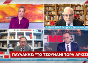 Παυλάκης: «Θα είχαμε αποφύγει το τσουνάμι αν παίρναμε μέτρα το Φθινόπωρο» (video)