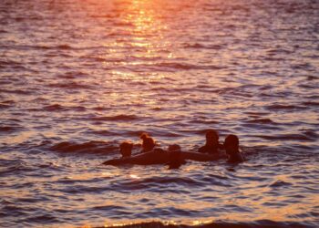 Σαλαμίνα: Απομακρύνθηκε από μόνη της προς την ανοιχτή θάλασσα η μικρή φάλαινα