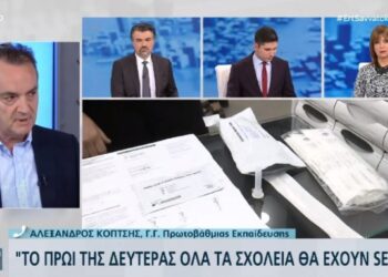 Κόπτσης: Ευθύνη των γονέων να κάνουν τα self test στα παιδιά τους