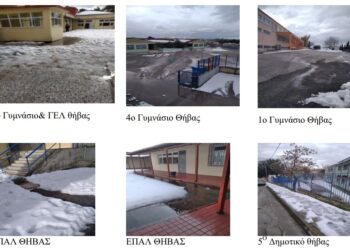 Βοιωτία: Τα σχολεία έμειναν με τα χιόνια…μέχρι να ανέβει η θερμοκρασία και να λιώσουν μόνα τους