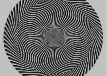 Εσείς ποιον αριθμό βλέπετε; Ένας γρίφος που θα σας κάνει να τρίβετε τα μάτια σας