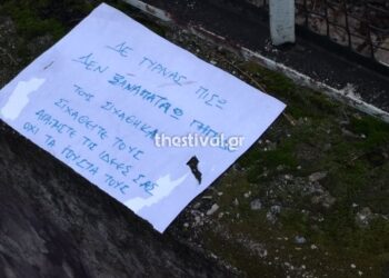 Το μήνυμα οπαδού του ΠΑΟΚ για τη δολοφονία του 19χρονου: «Τους σιχάθηκα, δεν ξαναπατάω γήπεδο»