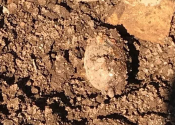 Αίγιο: Εντοπίστηκε χειροβομβίδα κοντά σε Δημοτικό σχολείο