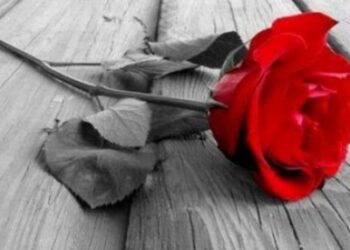 Έφυγε από τη ζωή ένας ιδιαίτερα αγαπητός εκπαιδευτικός