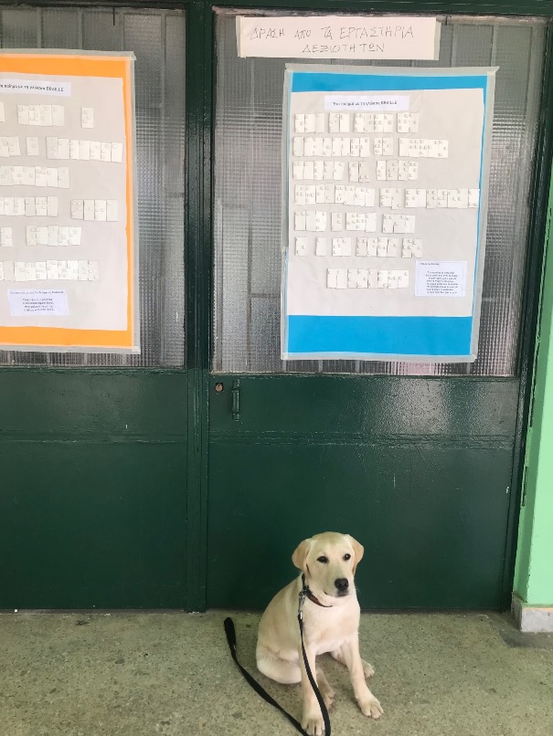 Ο Πόλο, κουτάβι που προορίζεται για σκύλος οδηγός στη Σχολή Λάρα, ποζάρει μπροστά από δημιουργίες με γραφή braille που έφτιαξαν οι μαθητές στο Γυμνάσιο Ψυχικού, στο πλαίσιο των εργαστηρίων δεξιοτήτων. 