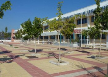 Μεταπτυχιακό στην  Εκπαίδευση για την Αειφορία και το Περιβάλλον