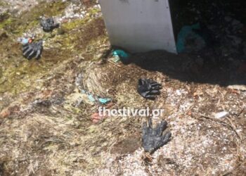 ΣΟΚ στη Θεσσαλονίκη: Εντοπίστηκε ακέφαλο πτώμα χωρίς πόδια – Ψάχνουν Πληροφορίες (φωτο)