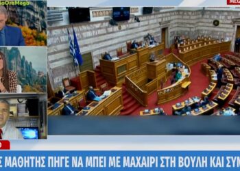 Βουλή: 14χρονος μαθητής πήγε να μπει με μαχαίρι και συνελήφθη (video)