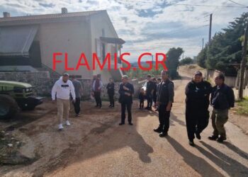 Πάτρα: Μαθητές πηγαίνουν στο σχολείο με τρακτέρ – Γεμάτος λάσπη ο δρόμος (video)