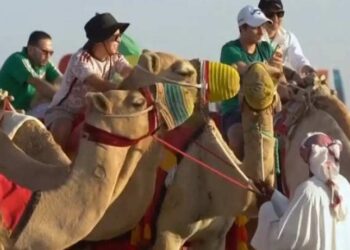 «Χτυπούν» υπερωρίες οι καμήλες με τους τουρίστες στο Κατάρ (vid)