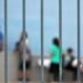 Θεσσαλονίκη: Βίντεο ντοκουμέντο από το άγριο ξύλο μεταξύ μαθητών σε ιδιωτικό σχολείο