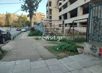 Νέα Ιωνία ξύλο