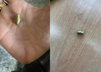 Εφιάλτης οι αδέσποτες σφαίρες στα σχολεία: Κραυγή αγωνίας από γονείς και εκπαιδευτικούς στις Αχαρνές