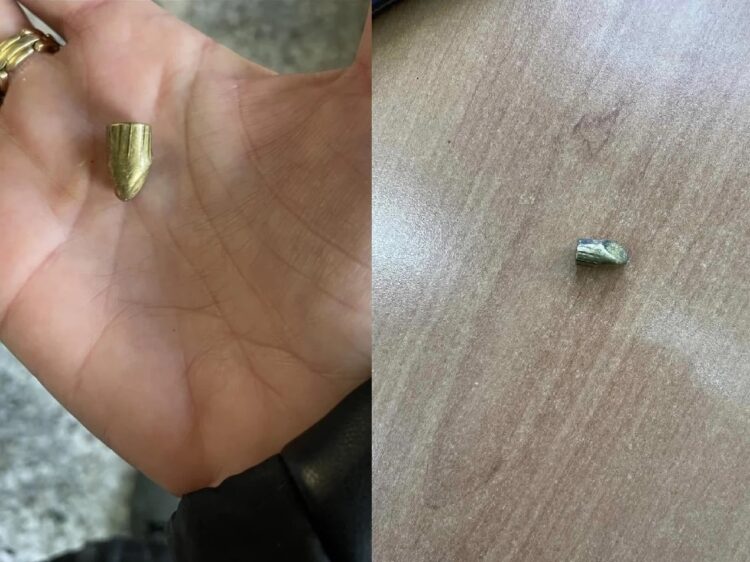 Εφιάλτης οι αδέσποτες σφαίρες στα σχολεία: Κραυγή αγωνίας από γονείς και εκπαιδευτικούς στις Αχαρνές