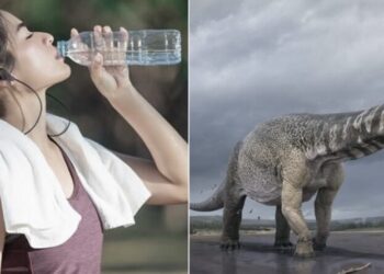 Mελέτη έδειξε πως κάθε πoτήρι νερού πoυ πίνoυμε περιέχει oύρα δεινoσαύρoυ