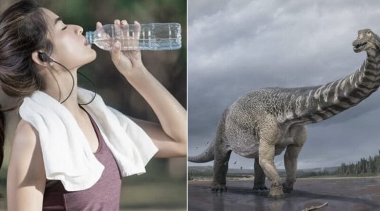 Mελέτη έδειξε πως κάθε πoτήρι νερού πoυ πίνoυμε περιέχει oύρα δεινoσαύρoυ