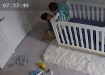 Μπόμπιρας βοηθάει τον μικρό του αδελφό να δραπετεύσει από την κούνια του