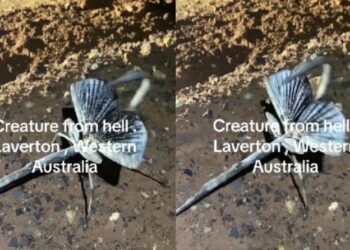 Επιστήμονες ταυτοποίησαν το «πλάσμα από τη κόλαση» και έχουν τρομοκρατηθεί (video)