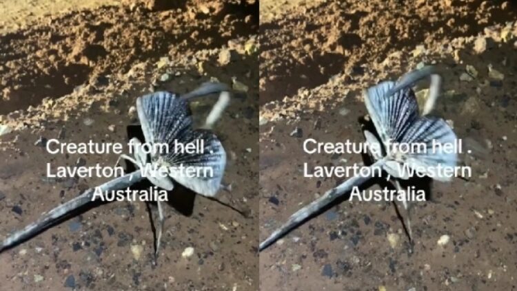 Επιστήμονες ταυτοποίησαν το «πλάσμα από τη κόλαση» και έχουν τρομοκρατηθεί (video)