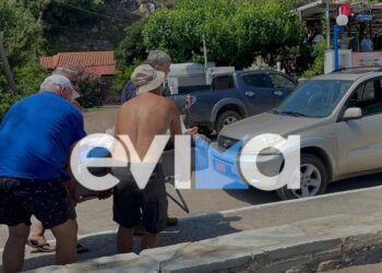 Δήμαρχος μετέφερε 75χρονο με εγκεφαλικό στο νοσοκομείο στην Εύβοια λόγω έλλειψης ασθενοφόρου – Τρίτη καταγγελία σε λίγες ώρες
