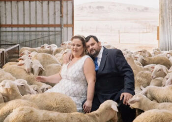 Λάρισα: Φωτογράφιση άλλου επιπέδου – Ανάμεσα στα πρόβατα το ζευγάρι (φωτο)