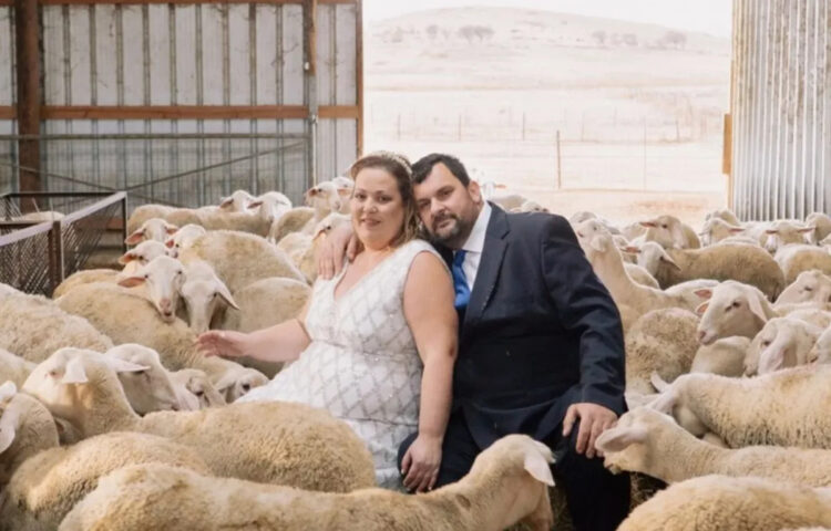 Λάρισα: Φωτογράφιση άλλου επιπέδου – Ανάμεσα στα πρόβατα το ζευγάρι (φωτο)