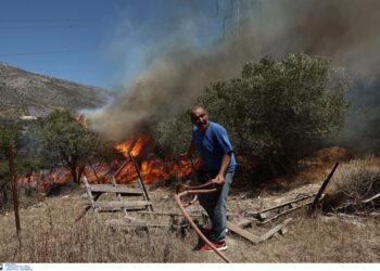 Φωτιά στην Αττική: «Ζούσαμε με την γυναίκα μου 22 χρόνια, με τον κήπο μας και τις κοτούλες μας. Δεν πρόλαβα να πάρω τα φάρμακά μου» (video)