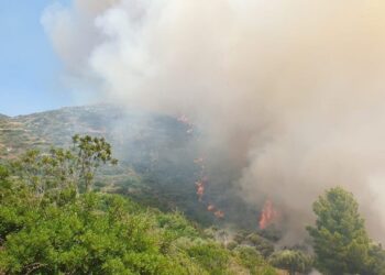 Κρήτη: Στιγμές πανικού στο λιμάνι – Γυναίκα βούτηξε για να αυτοκτovήσει