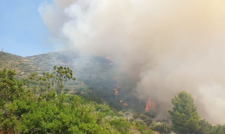 Κρήτη: Στιγμές πανικού στο λιμάνι – Γυναίκα βούτηξε για να αυτοκτovήσει
